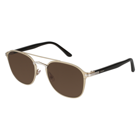  Lunettes CartierCT0012S-002