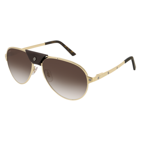  Lunettes CartierCT0034S-011