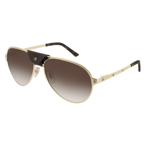  Lunettes CartierCT0034S-012