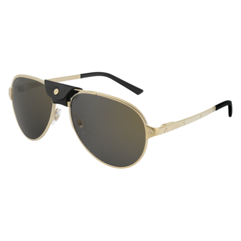  Lunettes CartierCT0034S-013