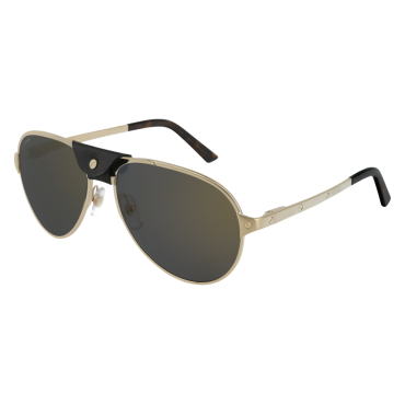  Lunettes CartierCT0034S-014