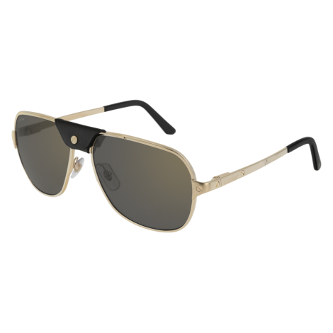 Lunettes CartierCT0165S-007