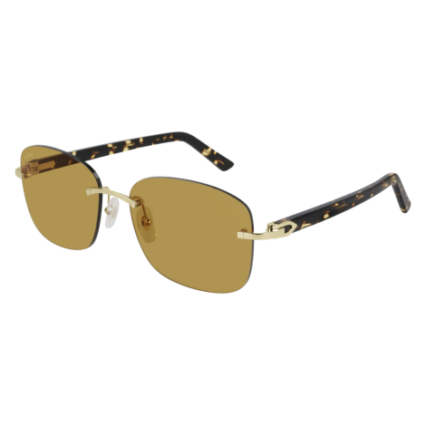 Lunettes CartierCT0227S-004