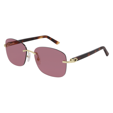 Lunettes CartierCT0227S-005