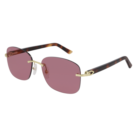 Lunettes CartierCT0227S-005