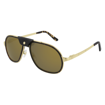  Lunettes CartierCT0241S-004