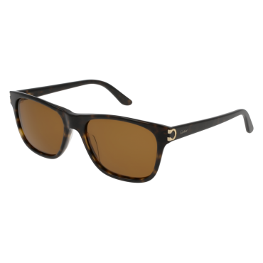 Lunettes CartierCT0001S002CTR