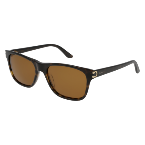 Lunettes CartierCT0001S002CTR