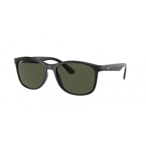 RAY-BAN RB4378 64771154