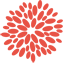 Optique du Faubourg logo